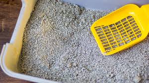 Waste management dumpsters calgary waste management junk removal. Starting A Pet Waste Removal Business Truic