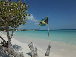 Image result for jamaican beach images