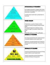 Ecological Pyramid Model Lesson Biomass Energy And Food Chains Ecological Pyramid Pyramid Model Pyramids