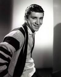 bob denver actor american actors movie stars