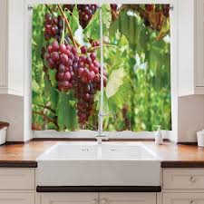 Ambesonne Grape Kitchen Curtains Bunch