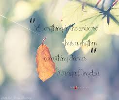 Maya Angelou Everything In The Universe Has A Rhythm Fabulous Quotes Rhythm Quotes Fabulous Quotes Maya Angelou Quotes