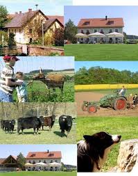 scheidlerhof urlaub auf dem bauernhof in der oberpfalz reisen deutschland urlaub in deutschland urlaub auf dem bauernhof