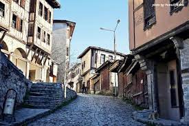 土耳其 土耳其的愛貓文化 貓咪與貓奴的天堂 zi 字媒體 road alley