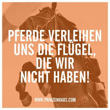 Www Prinzenhaus Com Pferde Verleihen Uns Die Flugel Die Wir Nicht Haben Sabine Pferdespruche Reit Zitate Pferde Zitate