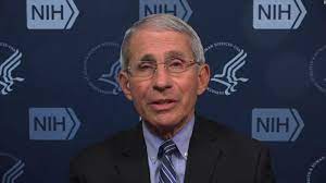 We did not find results for: White House Blocks Dr Anthony Fauci From Testifying Next Week Cnnpolitics