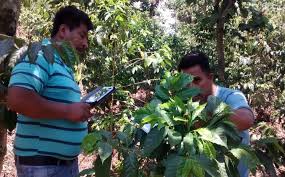 We did not find results for: Perfectdailygrind Com Combatiendo La Roya Con Aplicaciones Para Moviles