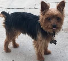 Brenda Basore's Instagram, Twitter & Facebook