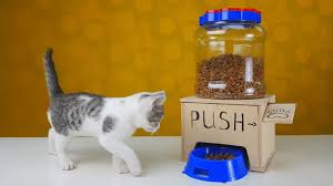 Maybe you would like to learn more about one of these? 20 Diy Cat Feeder Plans How To Make A Cat Food Dispenser
