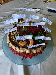 Cell culture is the process by which cells are grown under controlled conditions, generally outside their natural environment. Renee Mcq On Twitter Check Out A Student Cell Project For 6th Grade Science 3d Model Cake Of A Cell And Its Organelles It Was Explained In A Video As Well