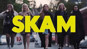 Resultado de imagen de skam remakes