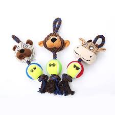 Pin On Pet