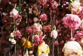 Dried Flowers Laura Howell 🌼how to dry and preserve flowers | dried flowers (rose and carnations) 🌹. dried flowers laura howell