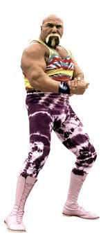 Something specific, a series of. Billy Graham Wwe