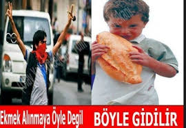 Contact turkish memes on messenger. Facebook And The State Propaganda Memes In Turkey Ucl Global Social Media Impact Study