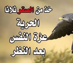 Check spelling or type a new query. ØµÙˆØ± ØµÙ‚ÙˆØ± Ù…ÙƒØªÙˆØ¨ Ø¹Ù„ÙŠÙ‡Ø§ ÙŠØ¹ØªØ¨Ø± Ø§Ù„ØµÙ‚ÙˆØ± Ù…Ù† Ø§Ù„Ø·ÙŠÙˆØ± Ø§Ù„Ø¬Ø§Ø±Ø­Ù‡ Ø§Ù„Ù…Ù…ÙŠØ²