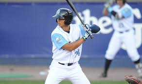 2019 WILMINGTON BLUE ROCKS MEDIA GUIDE || Coaching Staff 1