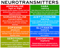 Instantly play online for free, no downloading needed! 10 Scientific Facts About Neurotransmitters That You Might Not Know Stillunfold