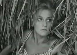 Polskie Filmy i Seriale online, kolekcja 1960