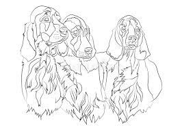 Irish mug of beer coloring pages printable. Breed Setter Stock Illustrations 685 Breed Setter Stock Illustrations Vectors Clipart Dreamstime