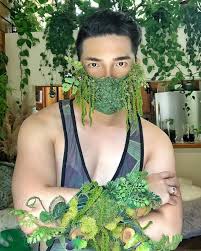 Plant Daddy With Over 300 Indoor Plants Offers His Top Tip For Cultivating An Indoor Jungle Indoor Jungle Perfect Plants Indoor Plants