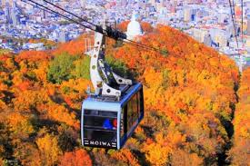 北海道：札幌観光半日バスツアー | Klook