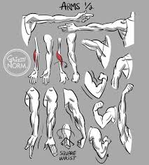 How to draw muscular arms. Worms To The Left Worms To The Right Grizandnorm First Of Two Overall Reference Page
