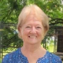 Carole S. Warnick Obituary (2024)