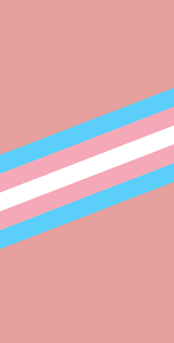 We did not find results for: Trans Wallpapers Top Free Trans Backgrounds Wallpaperaccess