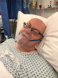 Celebrating dog's good health news