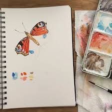 Das Pfauenauge Sitzt Im Garten Am Liebsten Auf Der Asche Vom Holzfeuer Natur Skizze Pfauenauge Skizzen