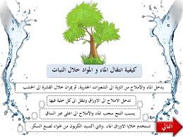 مدونة العلوم الصف السادس الفصل الدراسي الأول عمليات الحياة في النبات
