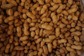 Pengertian, jenis, contoh dan gambarnya. Bisnis Camilan Serba Kacang Untungnya Bikin Hati Senang