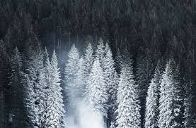 Magic Winter Lightroom Presets