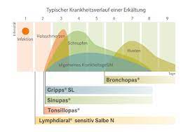 Erkaltung Pascoe Naturmedizin