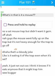 I just saw a mouse in my flat!! Here Are The 10 Emotional Stages Of Having Mice In Your Student Flat