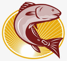 Selain menjadi salah satu bahan dasar makanan. Seafood Clipart Ikan Tenggiri Ikan Tenggiri Free Transparent Clipart Clipartkey