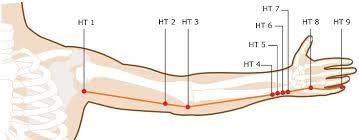 Heart Meridian Acupuncture Points Smarter Healing