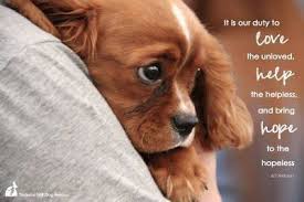 We did not find results for: Petition Donate The Vacant Old Animal Shelter To Open Heart Rescue Inc Change Org