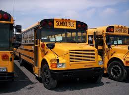 Image result for School Bus Yellow 1992 Fleet