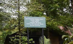 Maka, dalam kesempatan kali ini, siapapaun kalian perhatihan. Pondok Halimun Review Bumi Perkemahan Cipelang Dan Tempat Wisata Di Sukabumi