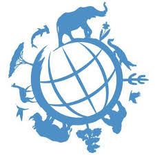 World wildlife day, geneva, switzerland. World Wildlife Day Wildlifeday Twitter
