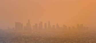 LA Fire Relief - NCJW|LA