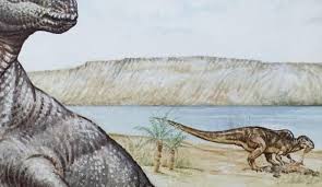 Image result for Dinophora