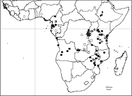 Image result for Emilia subscaposa