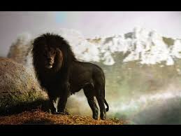 Check spelling or type a new query. Do Black Lions Exist Youtube