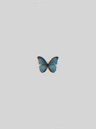🌟happy chatting our keyboard supports 150+ languages, so you can chat with friends from all over the world! Aesthetic Simple Butterfly Wallpapers Wallpaper Cave