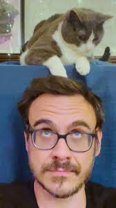 He Tried To Win Over His Girlfriend's Cat