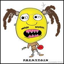 P H E N Y T O I N P P 450 Interactions Pony Tails H Hirsutism E Enlarged Gums N Nystagmus Y Yellow Browning Of The Skin T Teratogenic