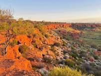 Explore Wandina Station and Karara Rangelands Park